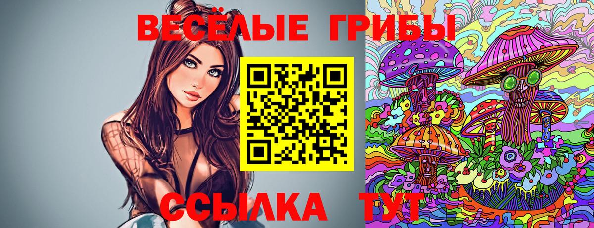 Псилоцибиновые грибы MAGIC MUSHROOMS  Вход с VPN  Заинск 