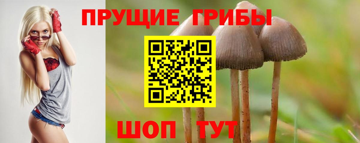 Галлюциногенные грибы прущие грибы Заинск